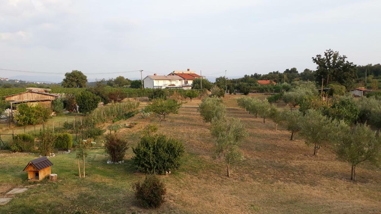 House Barizoni Villa อังคาราน ภายนอก รูปภาพ